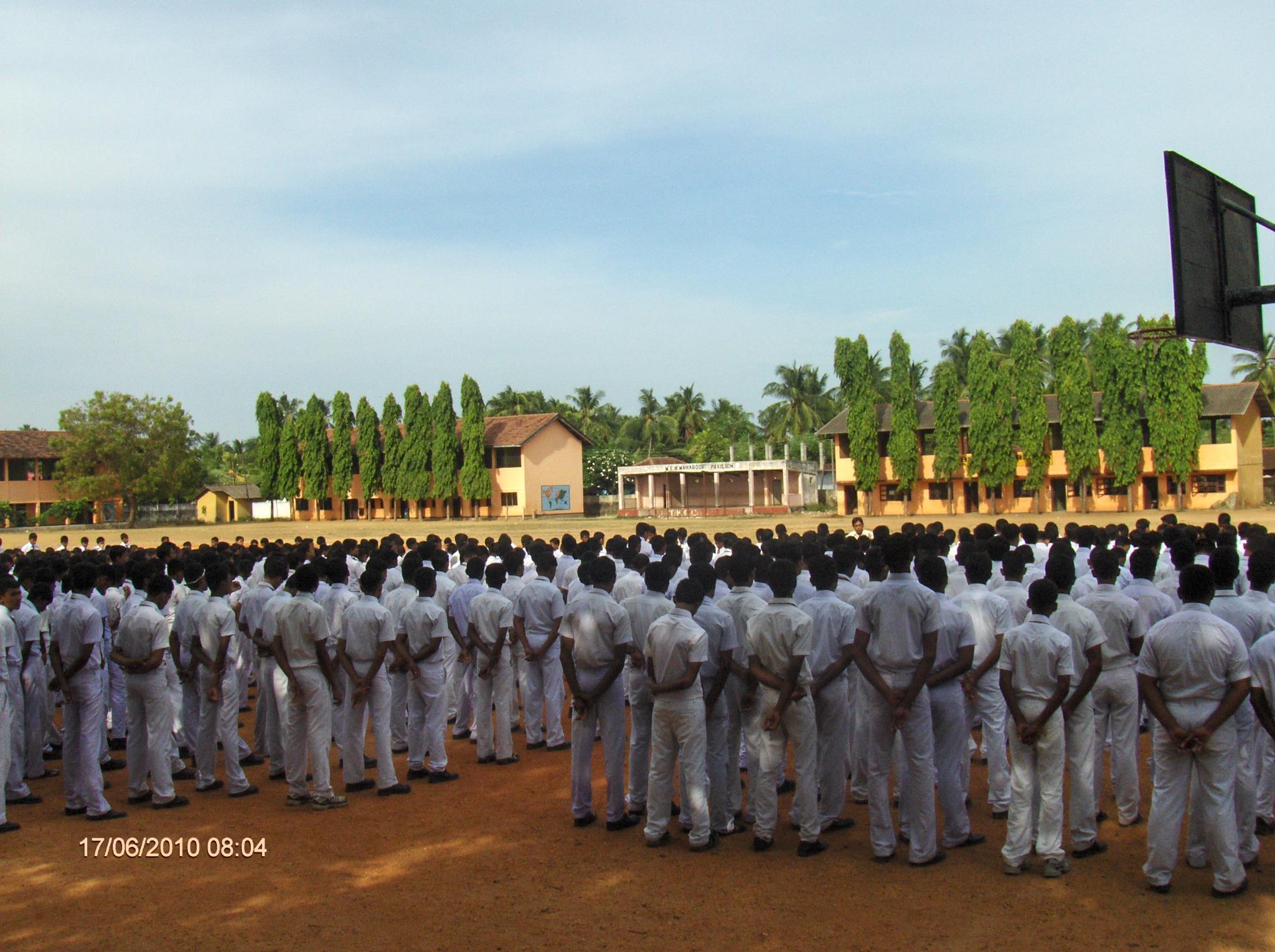 Philanthropic Initiatives and Career Development